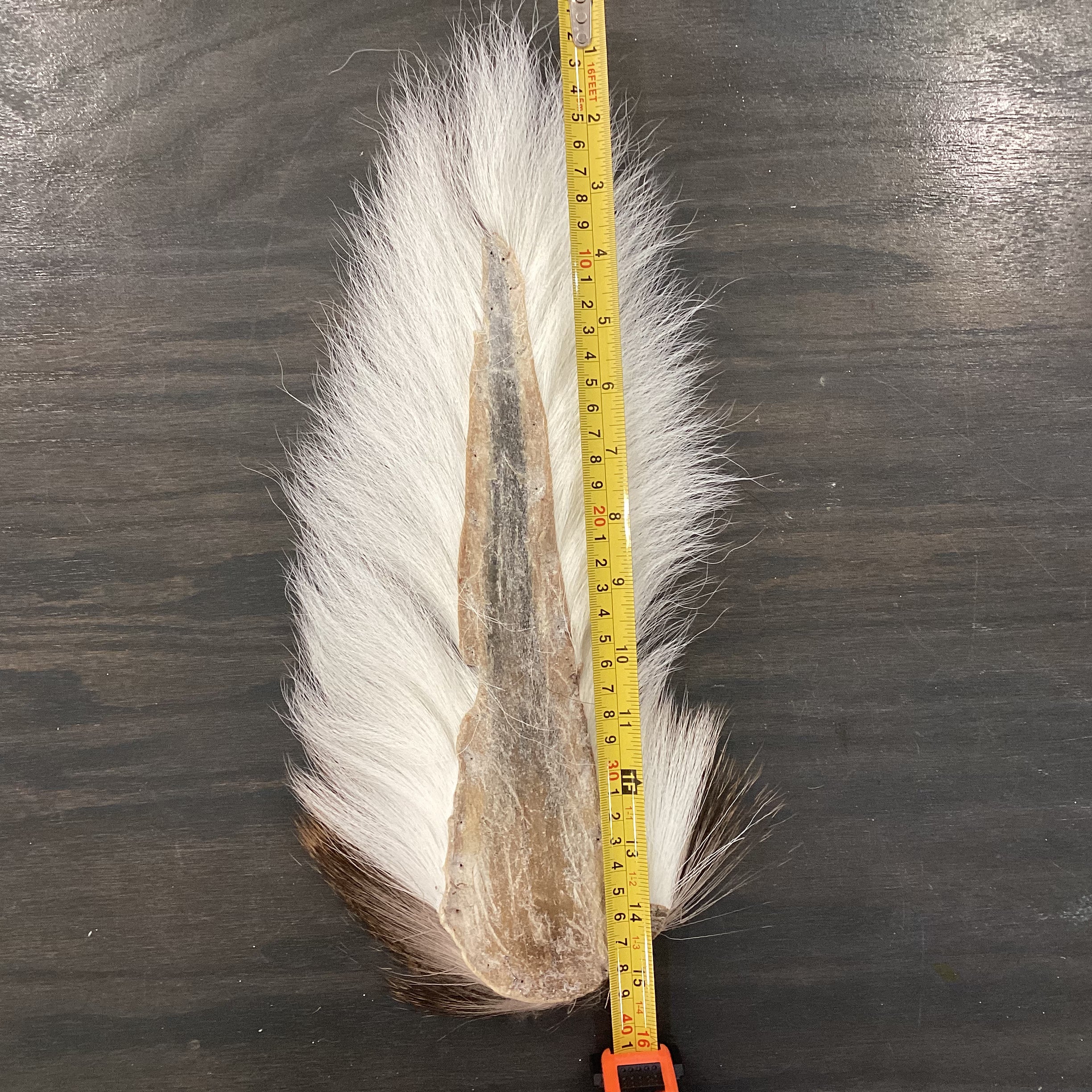 Whitetail Bucktail - Jumbo natural white