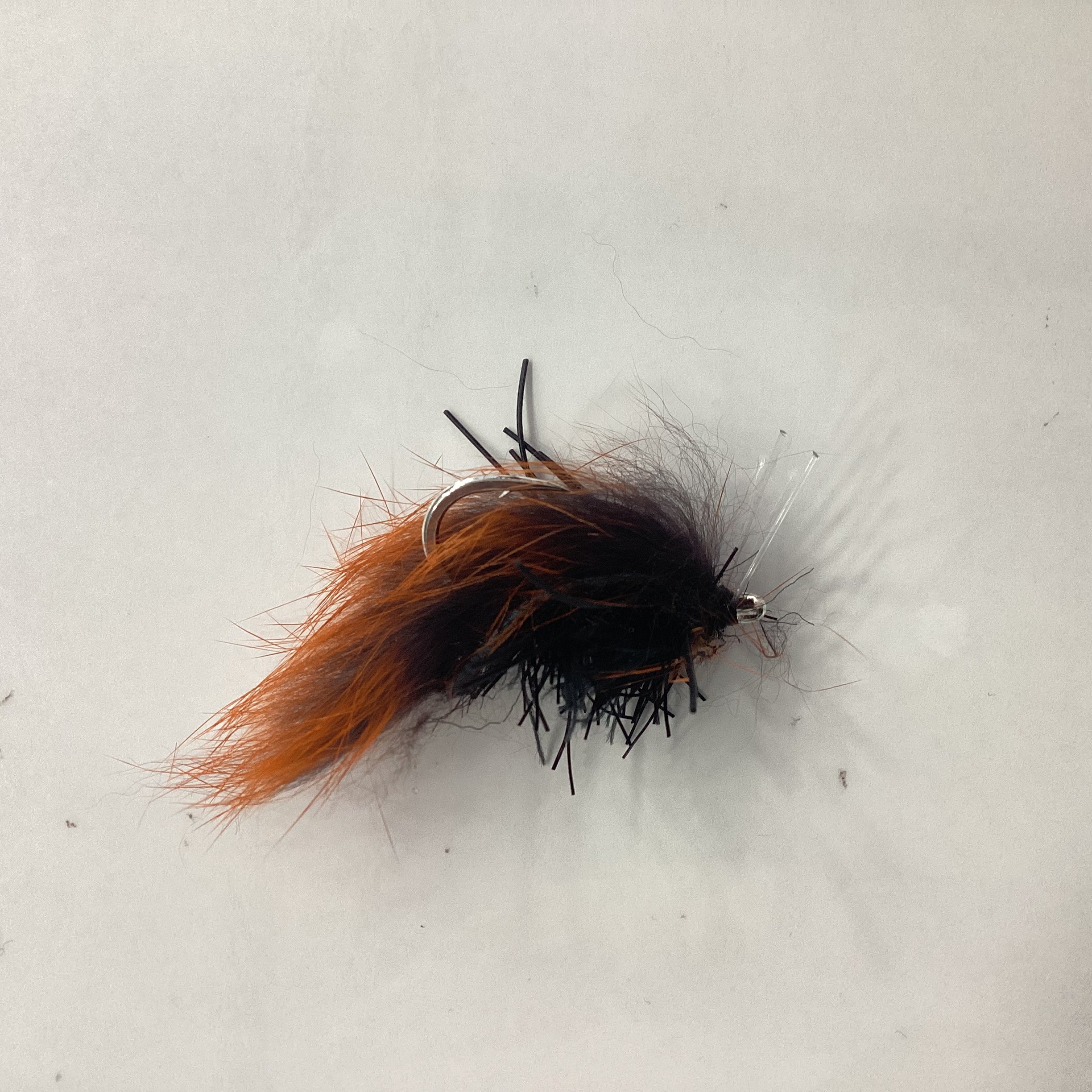 Luke's Flood Crab - orange/black