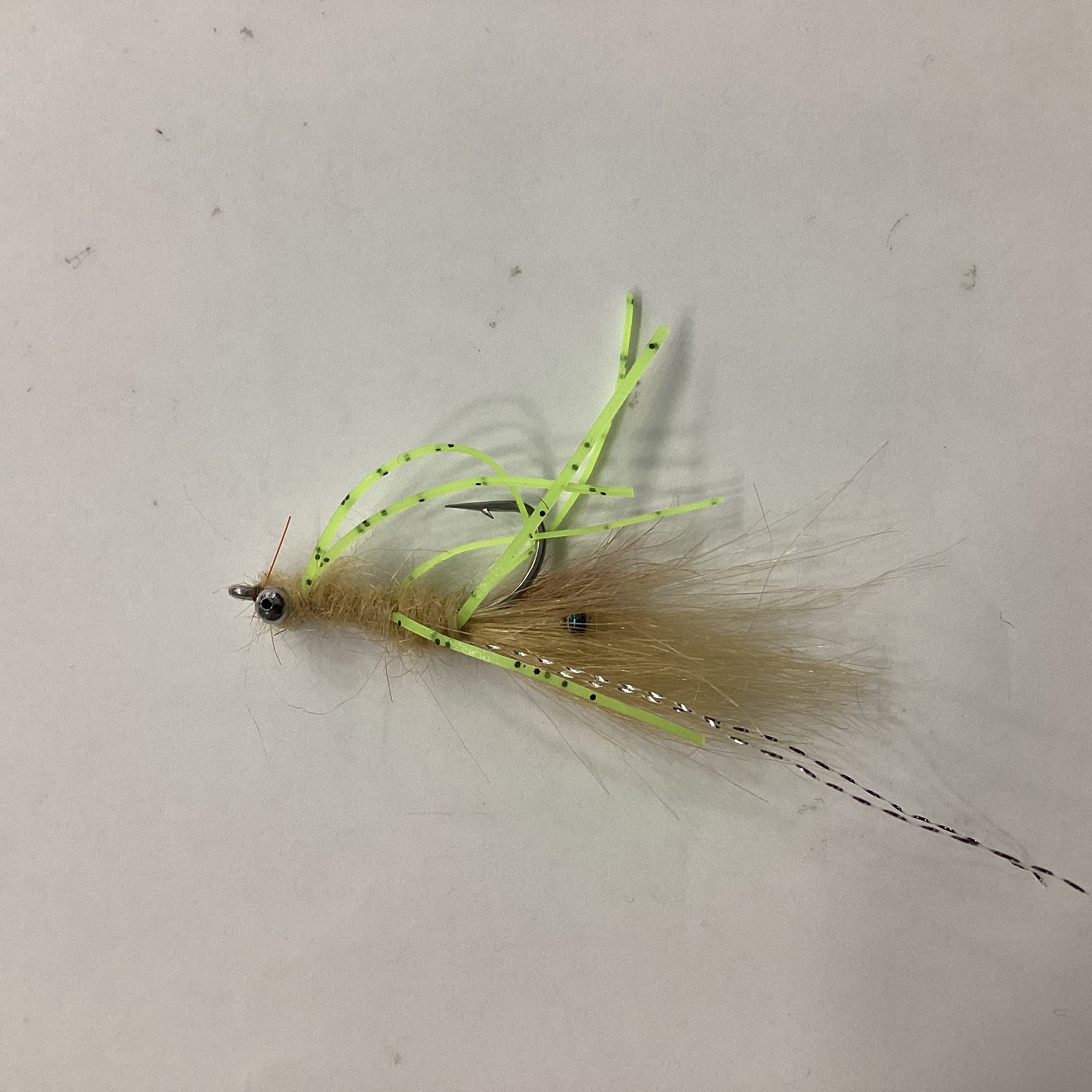 Mantis Shrimp size 6