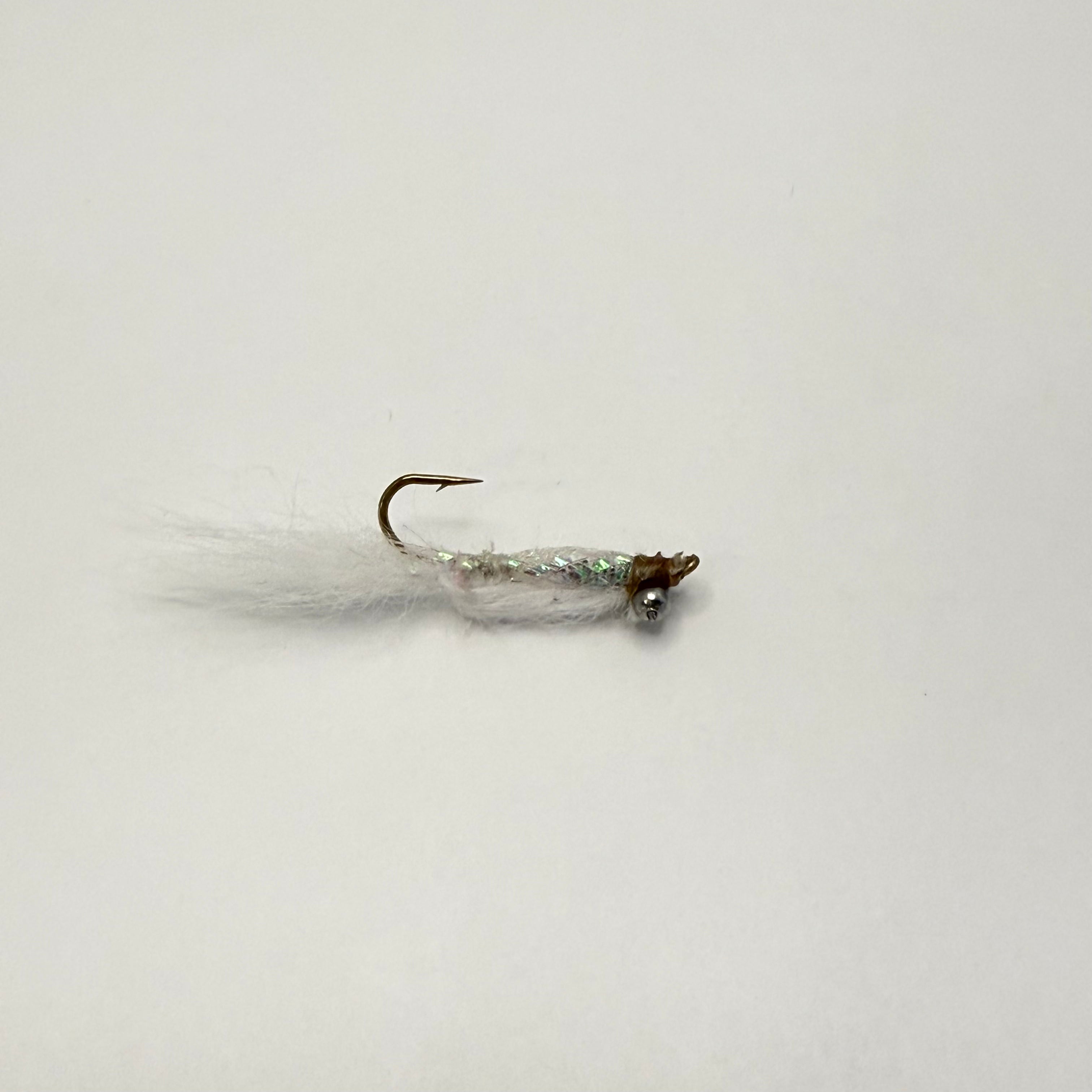 Croppy candy - White - Guy