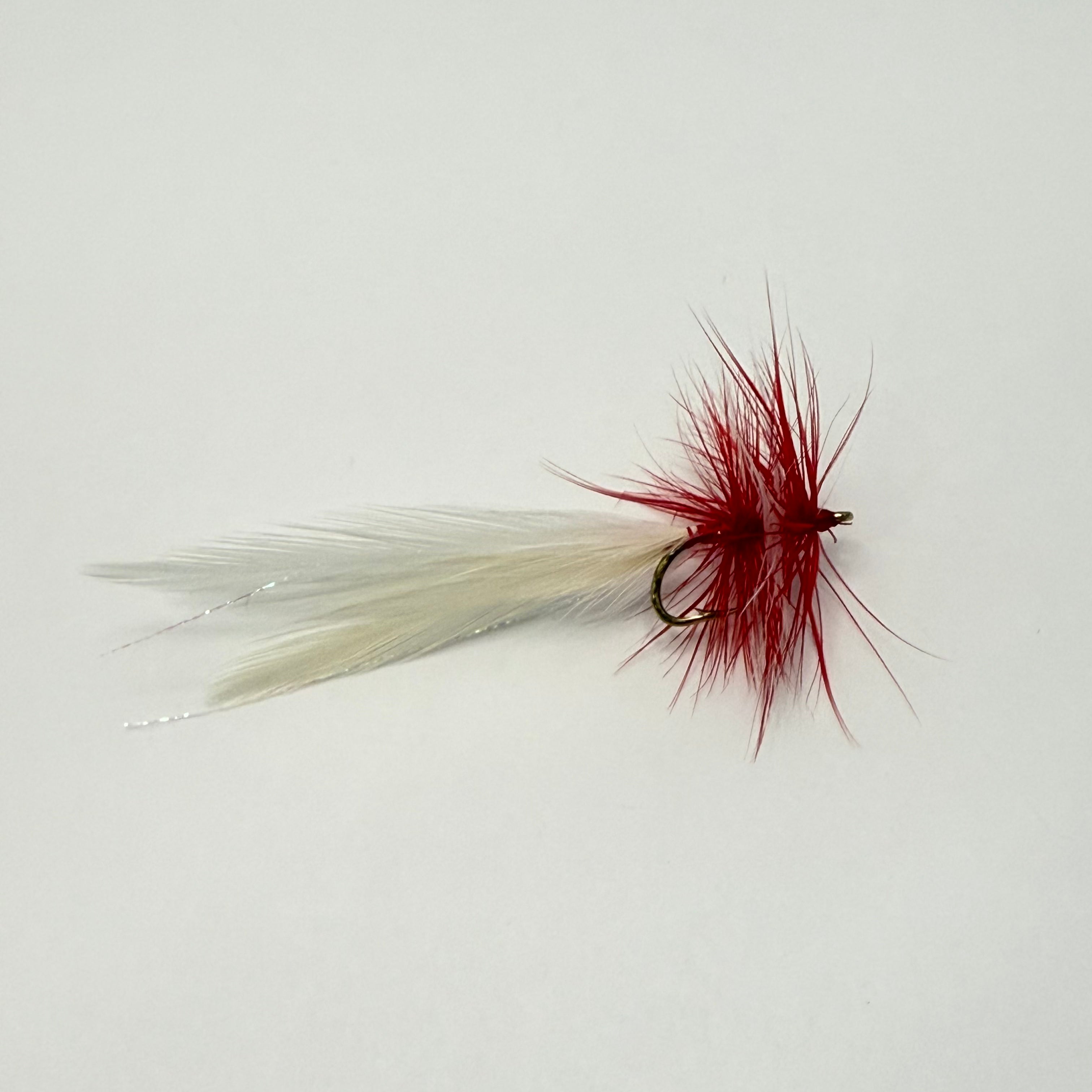 Bass Fly - Guy