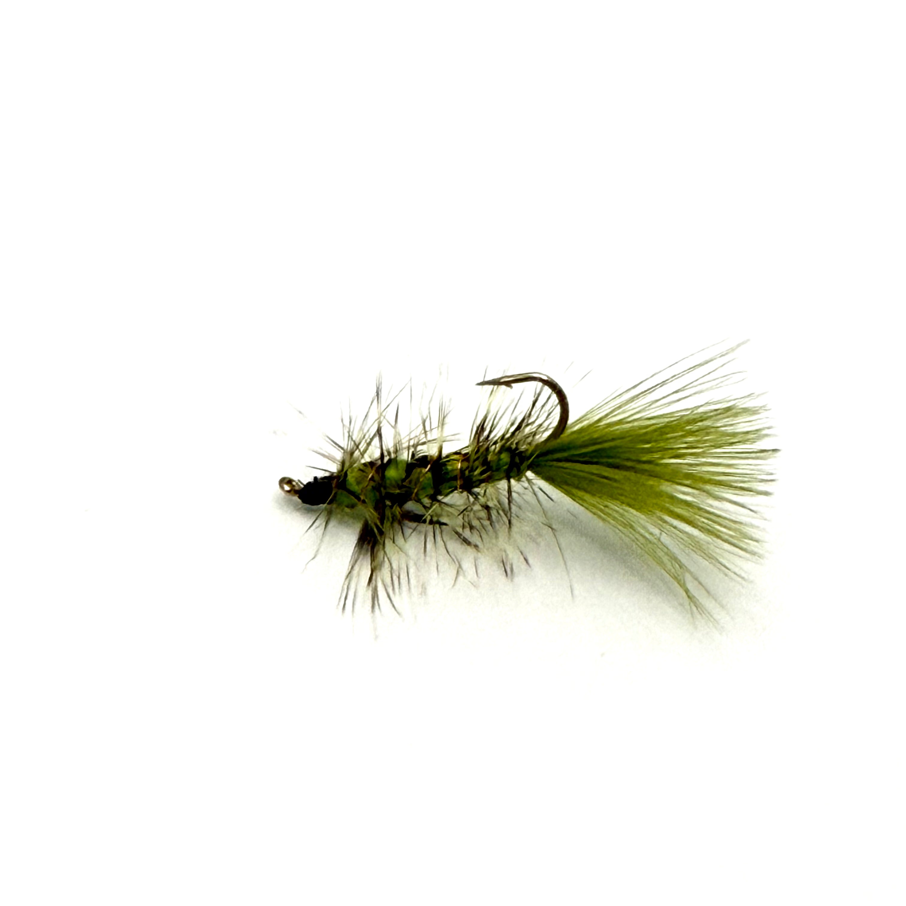 Wolly Bugger  - guy