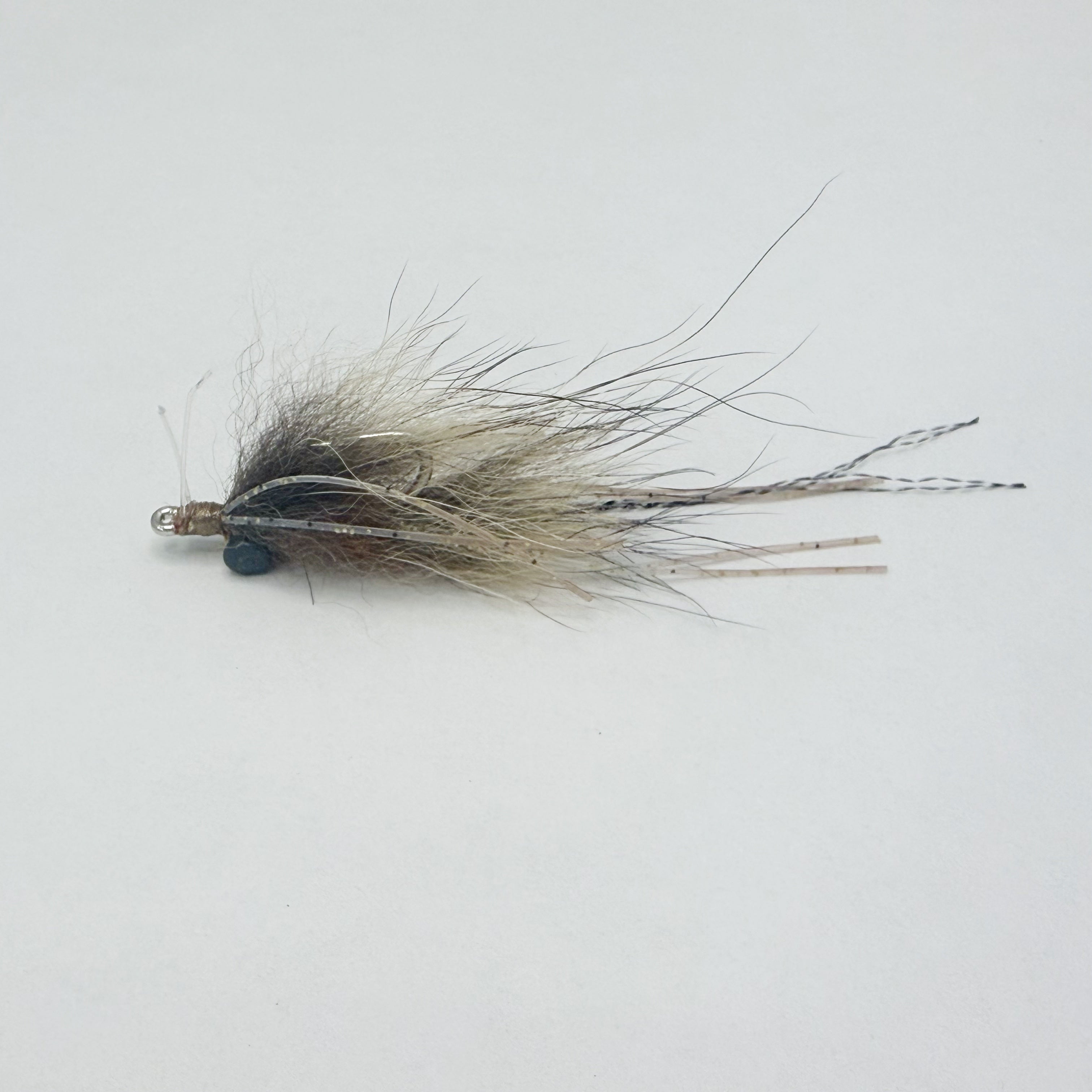 Barrett's Coyote Squimp
