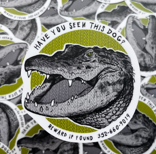 Lost Dog - Gator