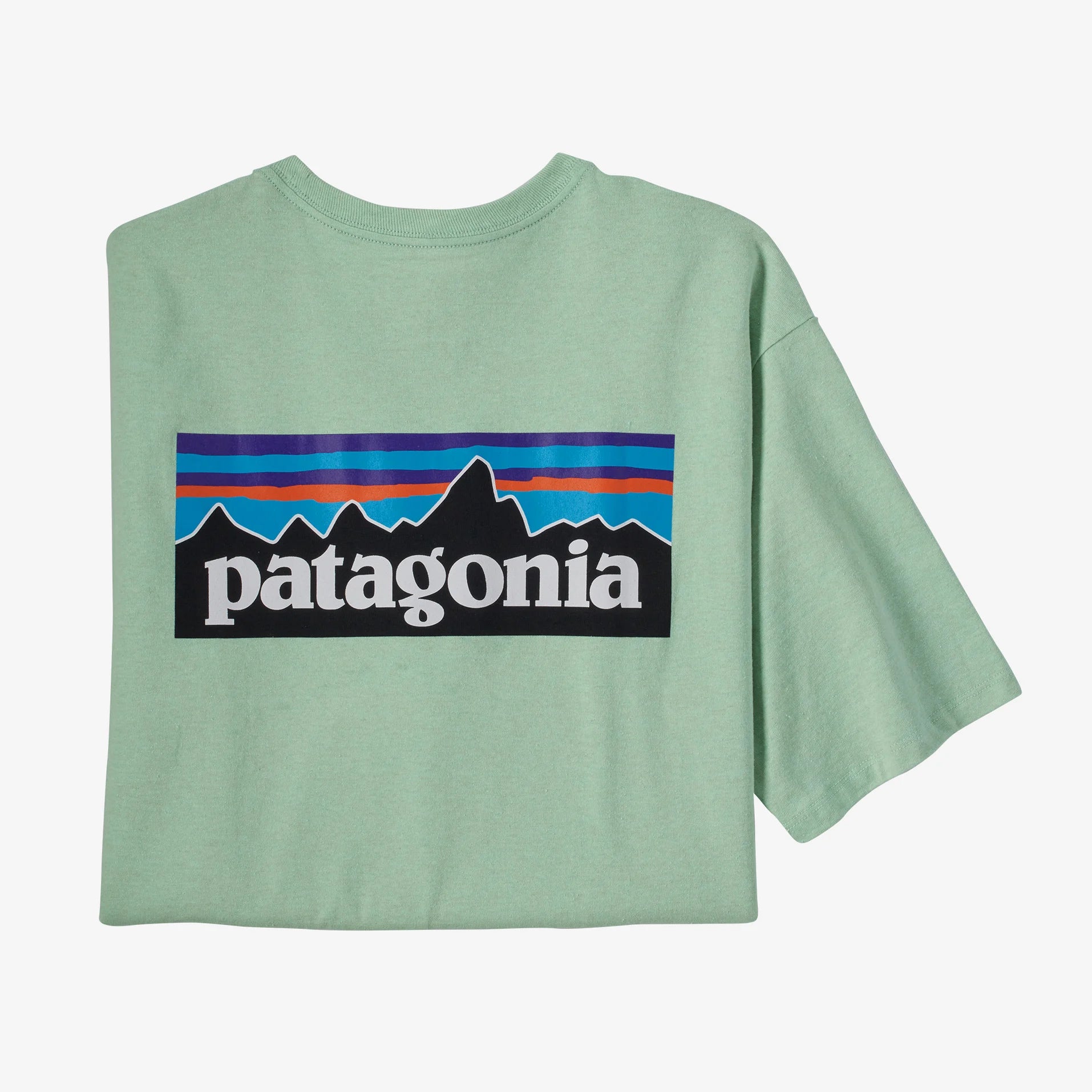 Patagonia Responsibili-Tee